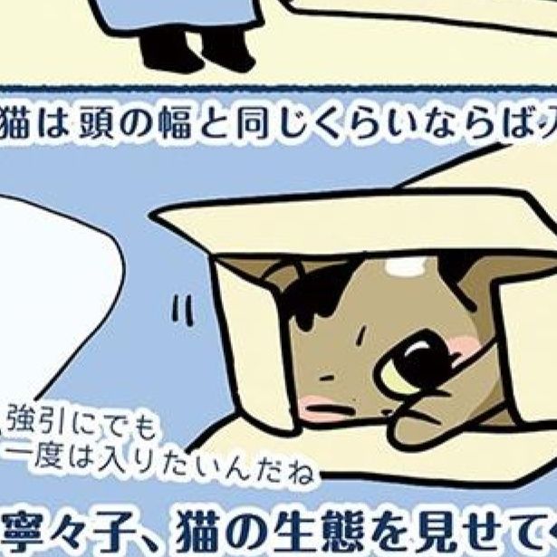 猫は頭の幅と同じくらいならば入れると知りました。