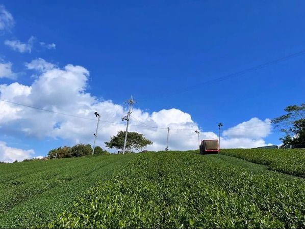 本格派チャイと大和抹茶をブレンドした新感覚チャイ「Matchai」発売！