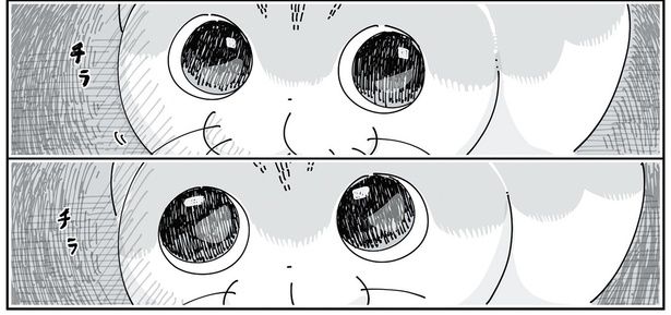 ちら、ちら （C）キュルZ／KADOKAWA