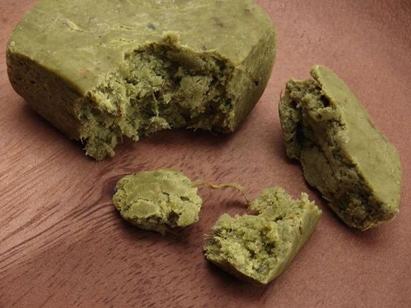 【東京都新宿区】サステナブルなライフスタイルを目指す！「Well Green Lab」POPUP開催。