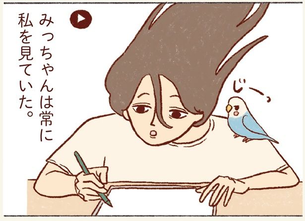 みっちゃんは常に私を見ていた。 （C）谷小夏／KADOKAWA