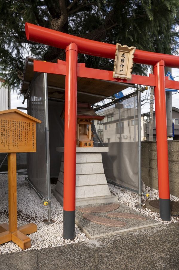 成種神社（なるたねじんじゃ)、通称‶柿の種神社