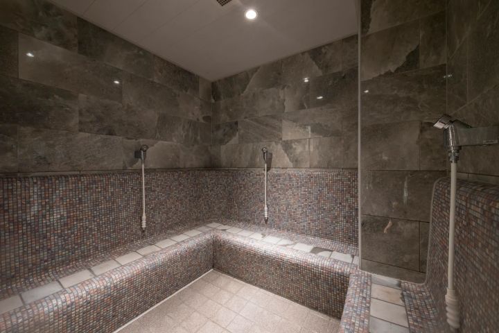 東中野 松本湯 銭湯 女性 スチーム サウナ 遠赤外線 鉱石