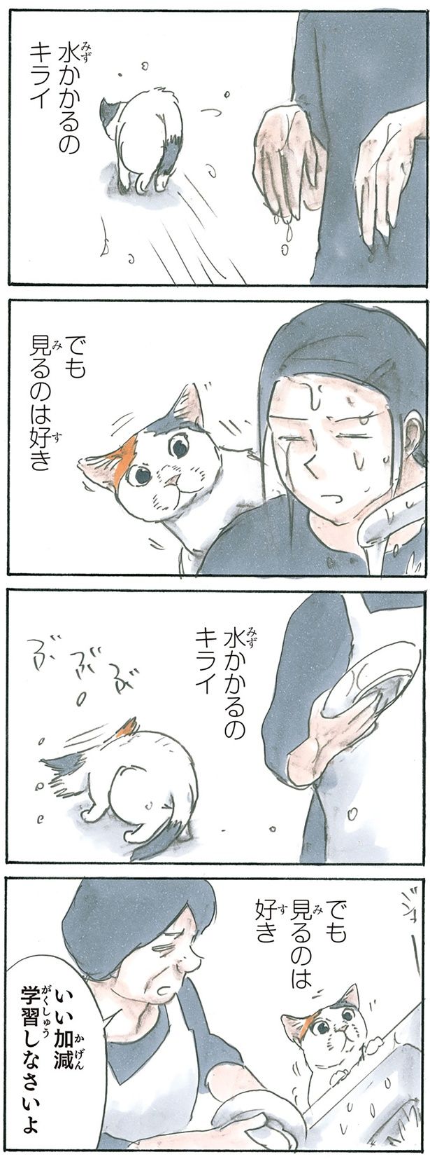 水と猫の不思議 （C）にごたろ／KADOKAWA