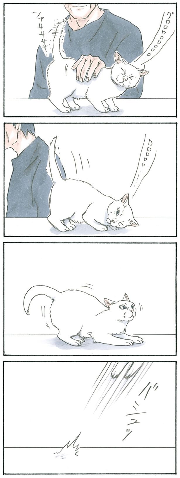 猫かぶってる （C）にごたろ／KADOKAWA