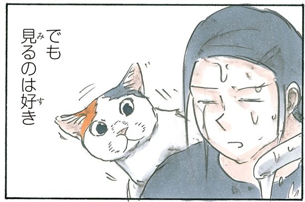 見るのは好き （C）にごたろ／KADOKAWA