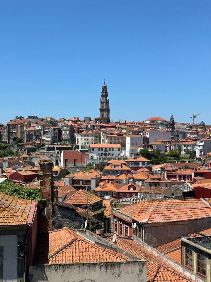 STANFORD所属のモデル・駒澤晴信の好きなもの③旅