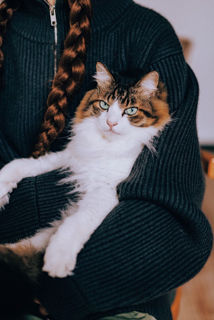 何枚あってもいい！センスが良くてかわいいセーター7選