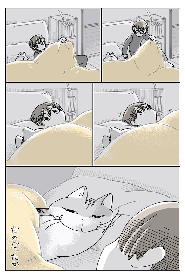 02 画像提供：キュルZ@kyuryuZ