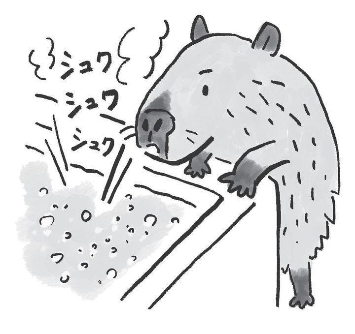 お風呂の入浴剤が溶ける様子を眺める小さなイノシシのイラスト