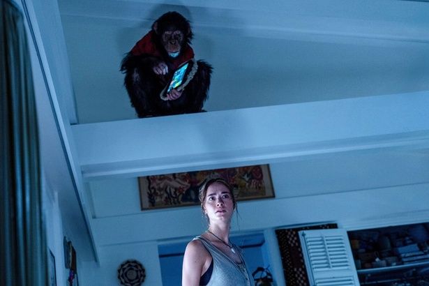 【写真を見る】「海底47m」シリーズの監督が放つ新たなシチュエーションホラーは、豪邸×チンパンジー×狂犬病！ [c]Everett Collection/AFLO