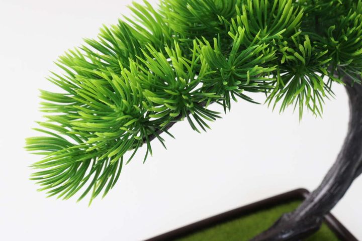 ダイソーの盆栽の葉先
