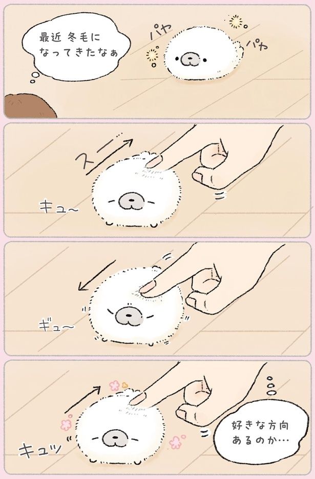 好きな方向あるのか… （C）tapu／KADOKAWA