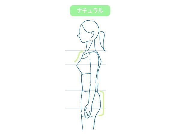 骨格ナチュラルとは？