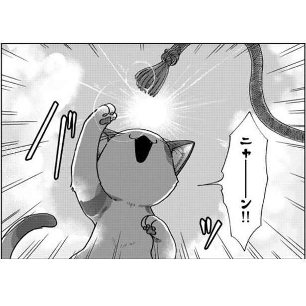 「猫の手も借りたい政策」とは!?