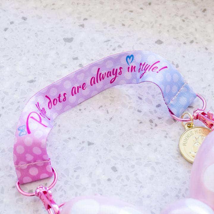 東京ディズニーランド“ミニーのファンダーランド”グミキャンディー、ミニスナックケース付き3