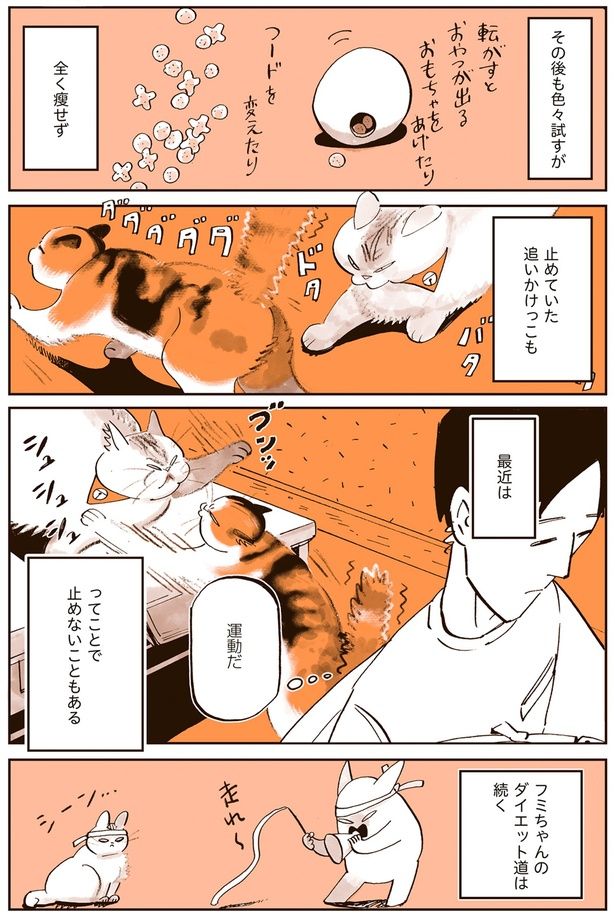 全く痩せず （C）谷口菜津子／KADOKAWA