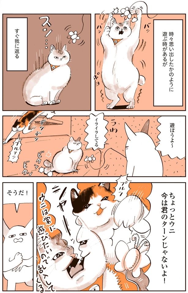 今は君のターンじゃないよ！ （C）谷口菜津子／KADOKAWA