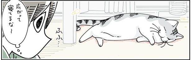 広がって寝てるな～ （C）キュルZ／KADOKAWA