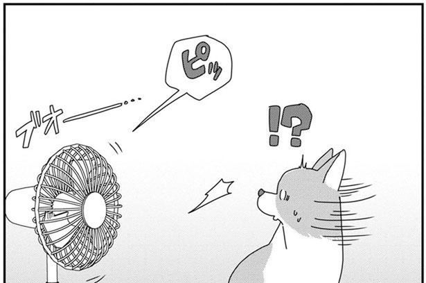 留守番しているペットのことが気になって自宅をハイテク化！ (C)らくだ／KADOKAWA