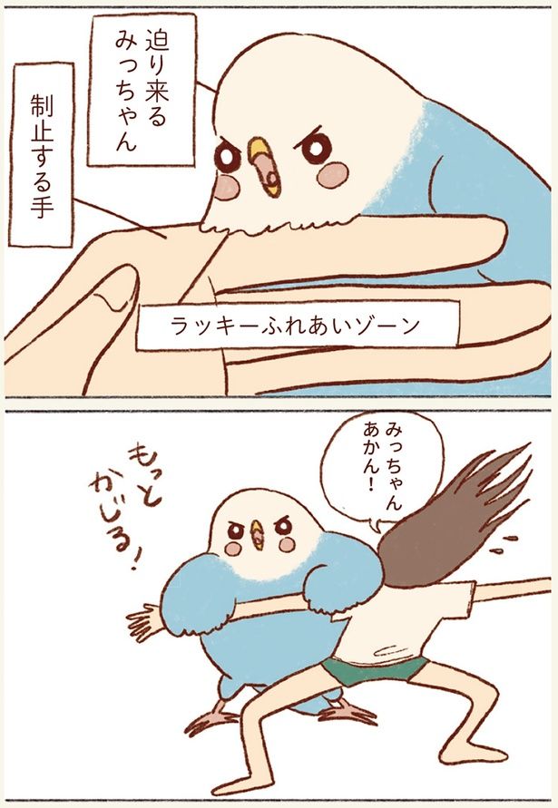 迫り来るみっちゃん （C）谷小夏／KADOKAWA