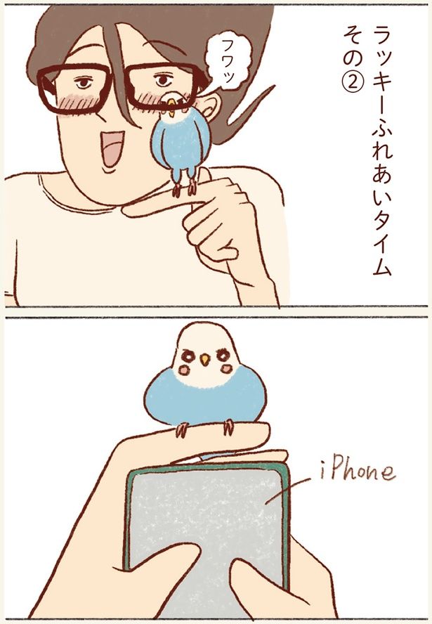 フワッ （C）谷小夏／KADOKAWA