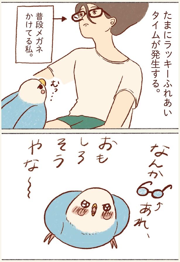 たまにラッキーふれあいタイムが発生する。 （C）谷小夏／KADOKAWA