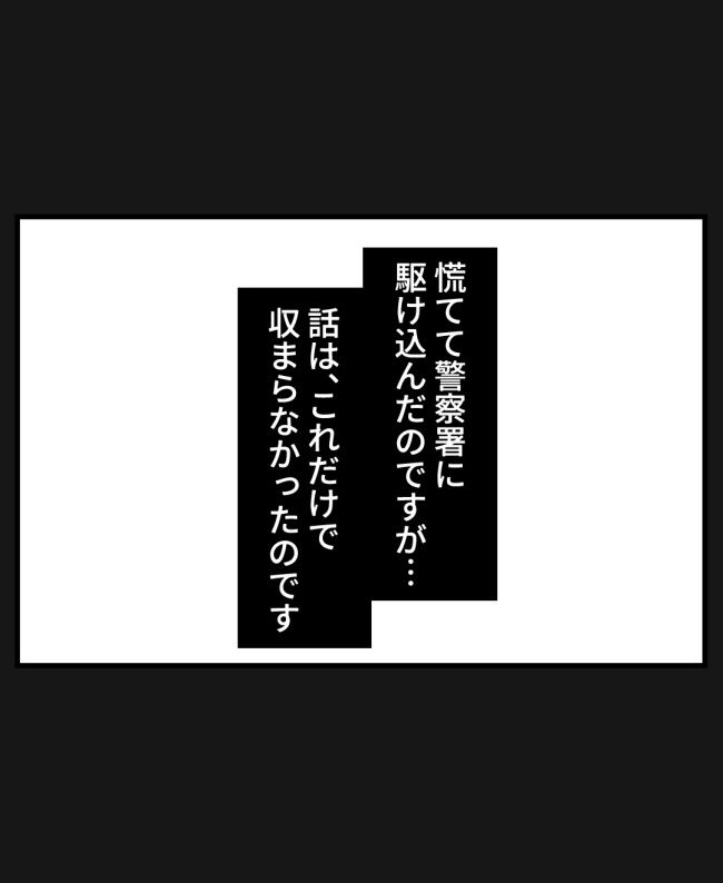 恐怖の訪問者／ほや助