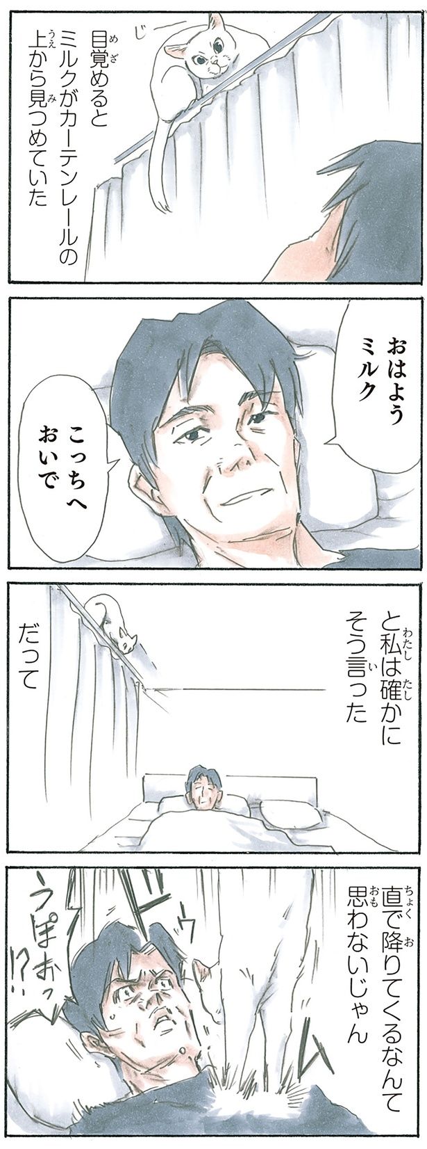 カーテンの上から （C）にごたろ／KADOKAWA