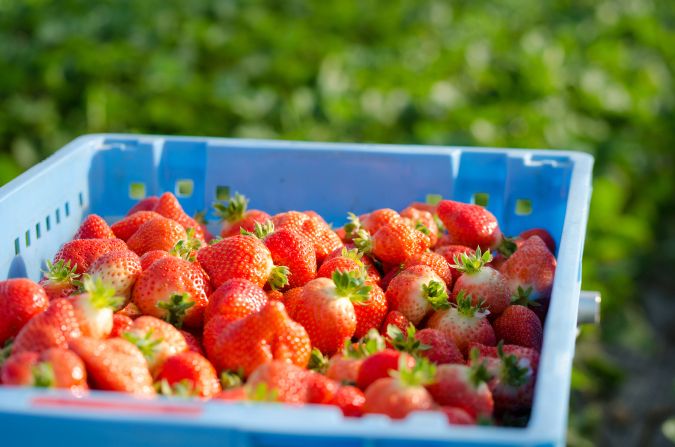 糸島磯本農園のあまおう