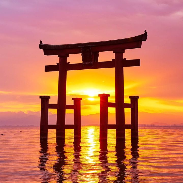 2026年1月19日(月) 開運日