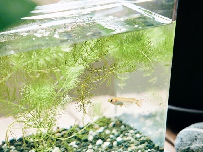 〈61歳の一人暮らし〉大量の「もの」と向き合い、誓ったこと。最後に残ったのは子どもとの思い出が詰まったものでした