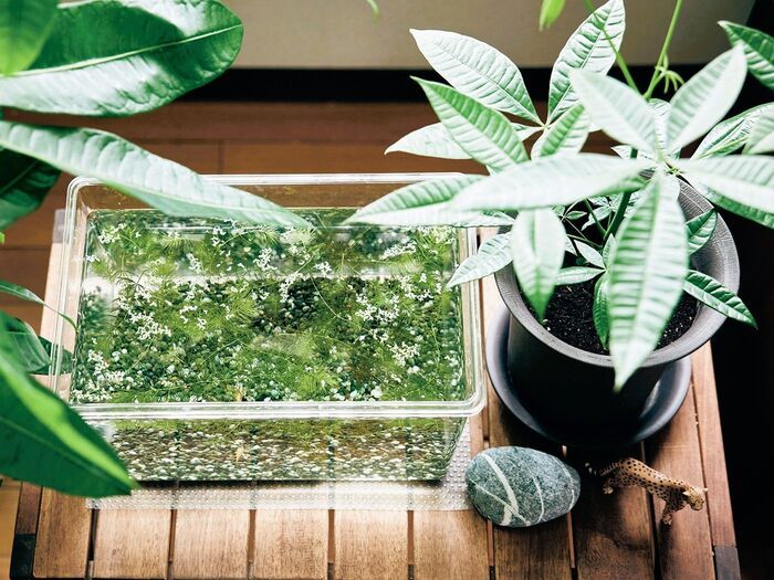 〈61歳の一人暮らし〉大量の「もの」と向き合い、誓ったこと。最後に残ったのは子どもとの思い出が詰まったものでした