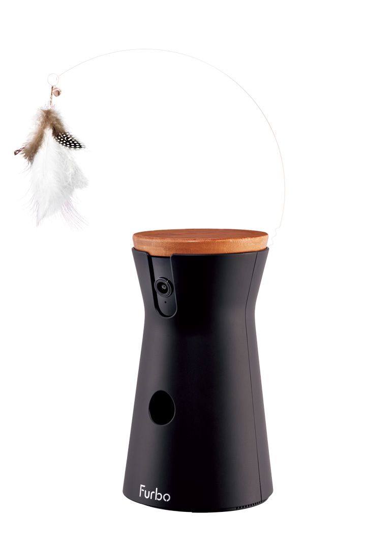 ネコさんがどハマり！飼い主も嬉しい猫のためのグッズたち