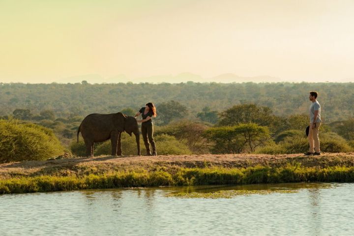 孤児となった小象の救助に関わることで生きがいを見つけるヒロイン。Netflix映画『ホリデイ・イン・ザ・ワイルド』独占配信中