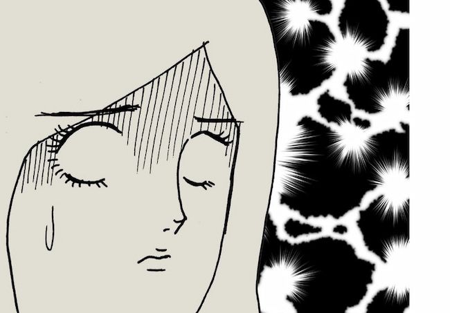 母の認知症介護日記／ワフウフ