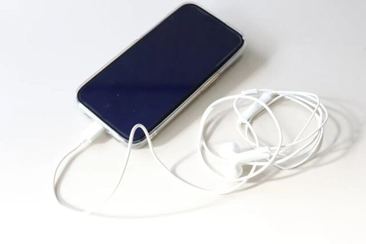 ダイソー リモコンマイク付 USB Type－C イヤホン（ホワイト）