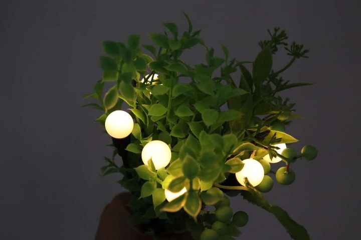 デザインソーラーライト（蛍） 使用例