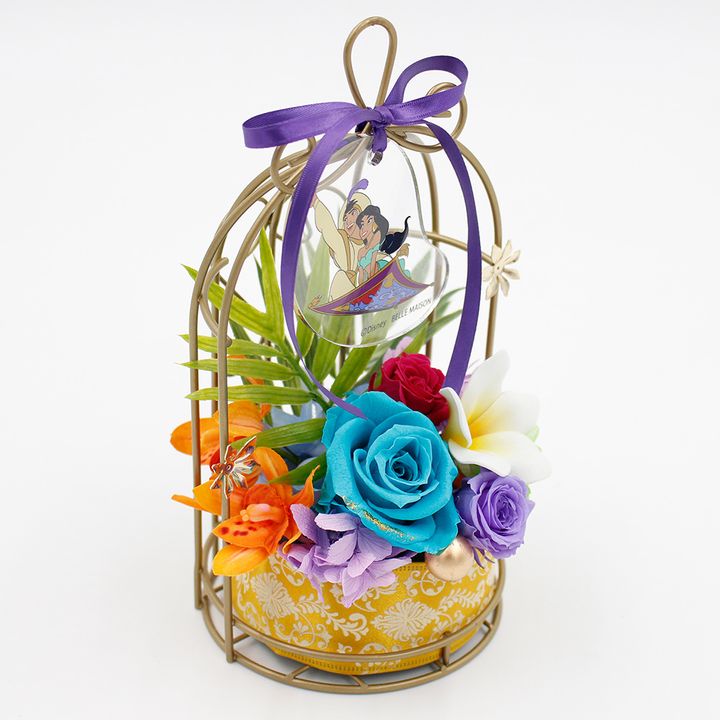 Magic carpet（アラジン） バックスタイル