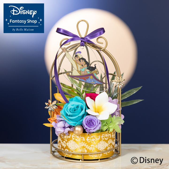 Magic carpet（アラジン）