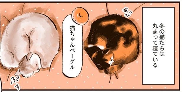 冬の猫たち （C）谷口菜津子／KADOKAWA