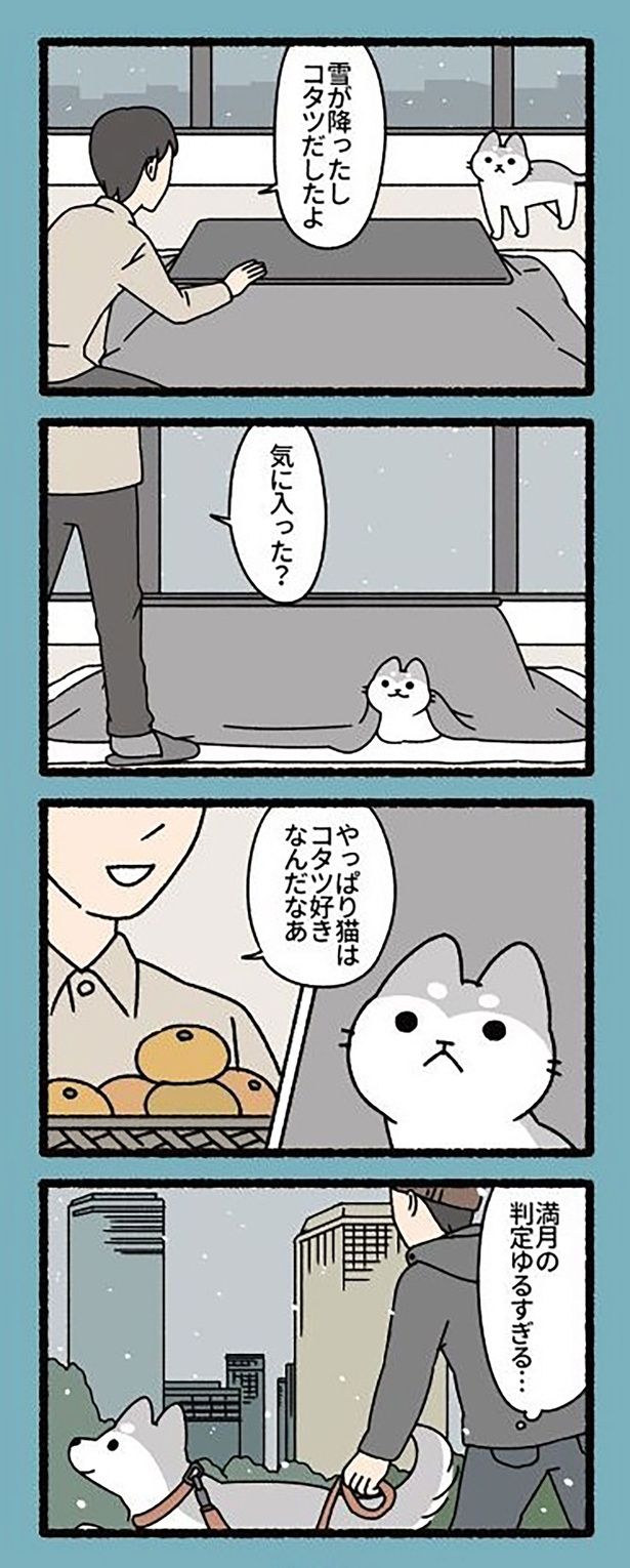 気に入った？ （C）ぱんだにあ／竹書房