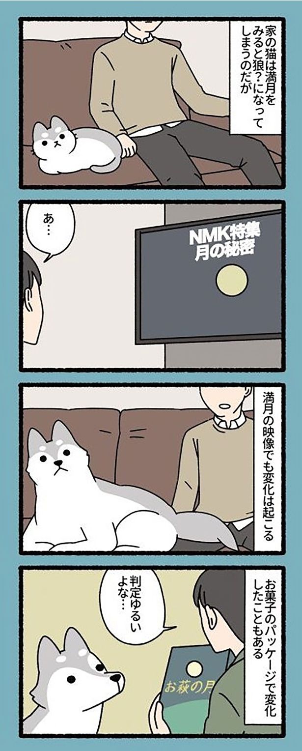 お菓子のパッケージで変化したこともある （C）ぱんだにあ／竹書房