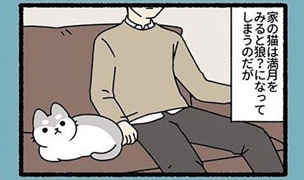 満月を見るとアノ姿に変身！ 普段はキュートな家猫の秘密 （C）ぱんだにあ／竹書房