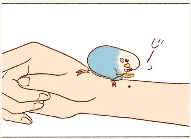 ほくろに釘付けのみっちゃん （C）谷小夏／KADOKAWA