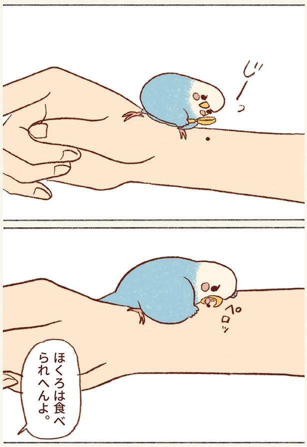 ほくろは食べられへんよ。 （C）谷小夏／KADOKAWA