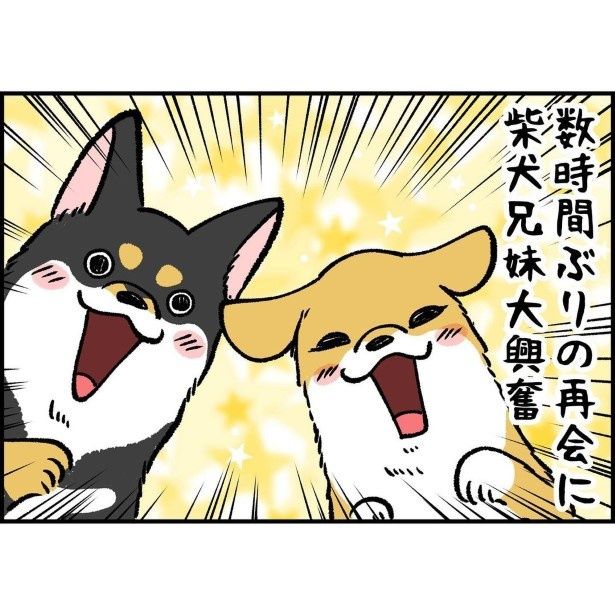 まるで1週間くらい会ってなかったかのような喜びよう!! ユウコトリトリ(@yuko_toritori)