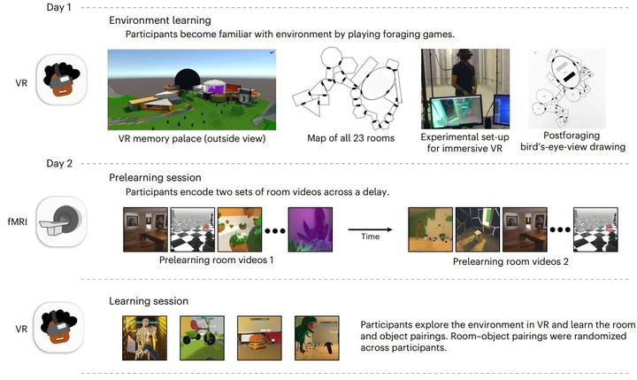 被験者は23種類の部屋を対象に記憶テストを行いました