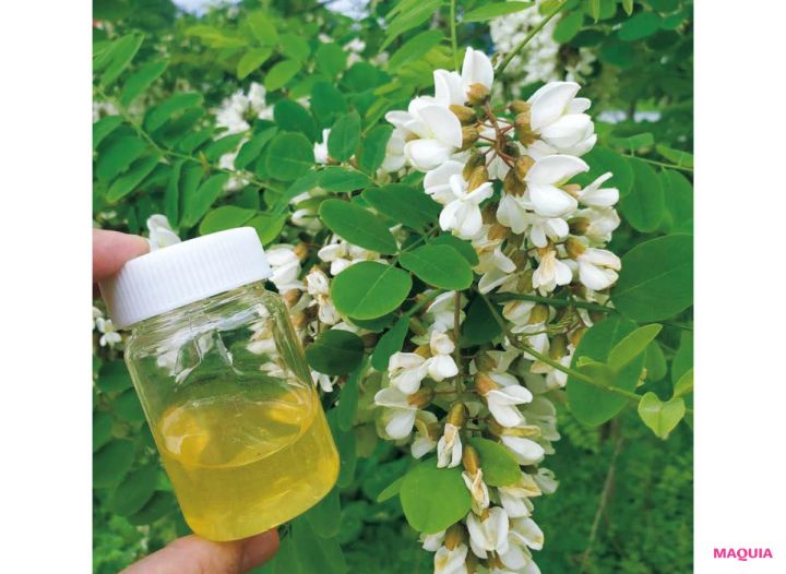 ハニーハンター 日本の豊かな「植生」を活力にした国産のはちみつ とれたての新蜜