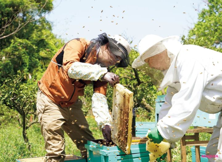 ハニーハンター 日本の豊かな「植生」を活力にした国産のはちみつ 優れた養蜂家さんがつくるはちみつ